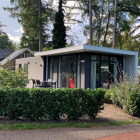 Modern Located In The Achterhoek Chalet Lochem